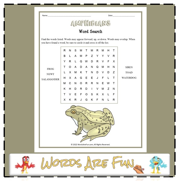 Amphibians Word Search (Easy)