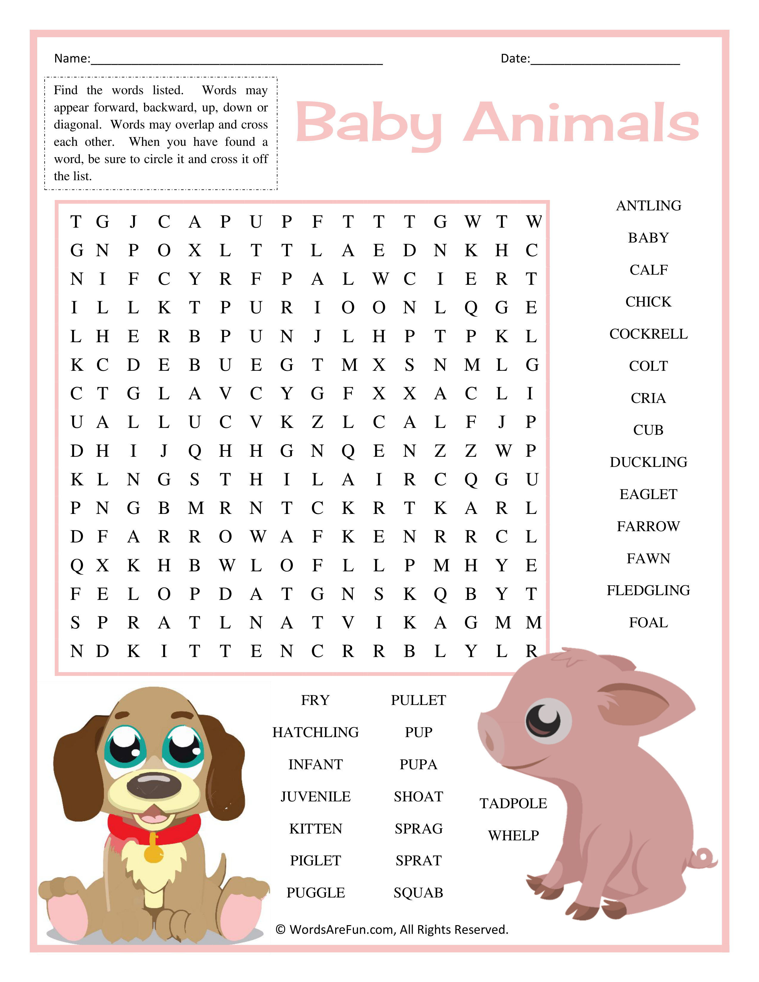 Baby Animals Word Search