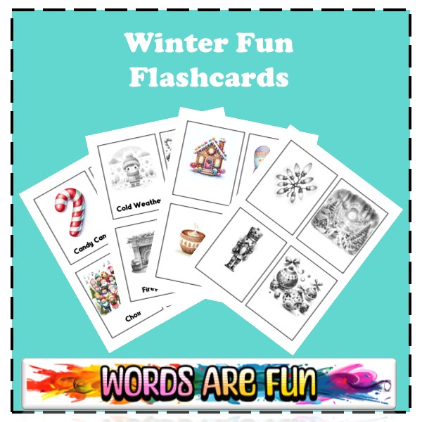 Winter Fun Flashcards