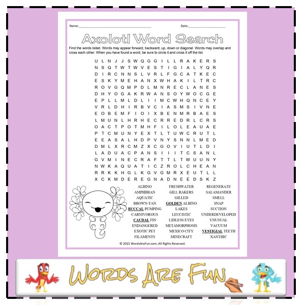 Axolotl Word Search + Coloring