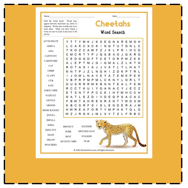 Cheetahs Word Search