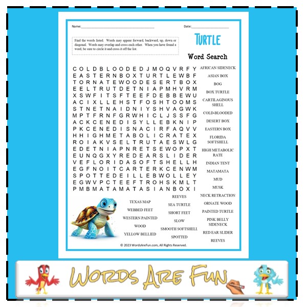 Turtle Word Search