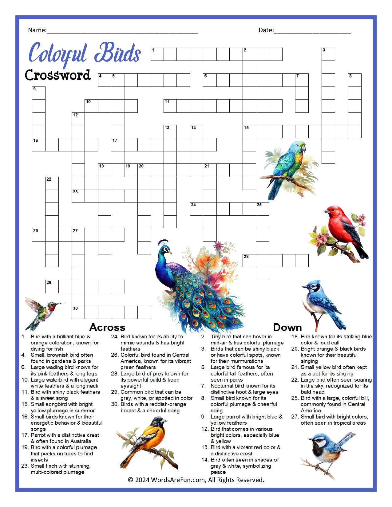 Colorful Birds Crossword Puzzle